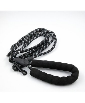 Laisse pour chien