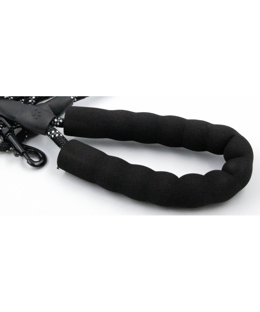 Laisse pour chien