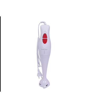 Mixeur plongeur/Silver Crest /300w