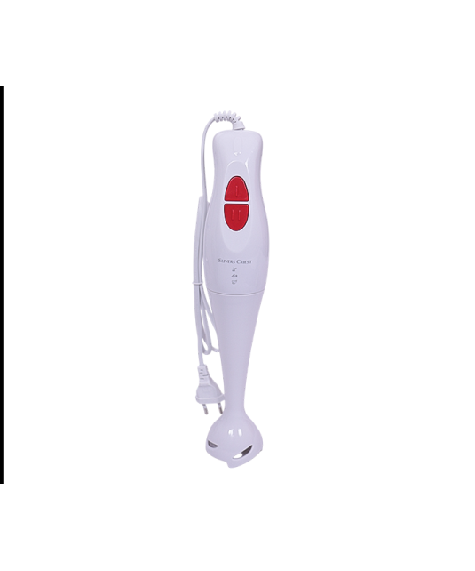 Mixeur plongeur/Silver Crest /300w