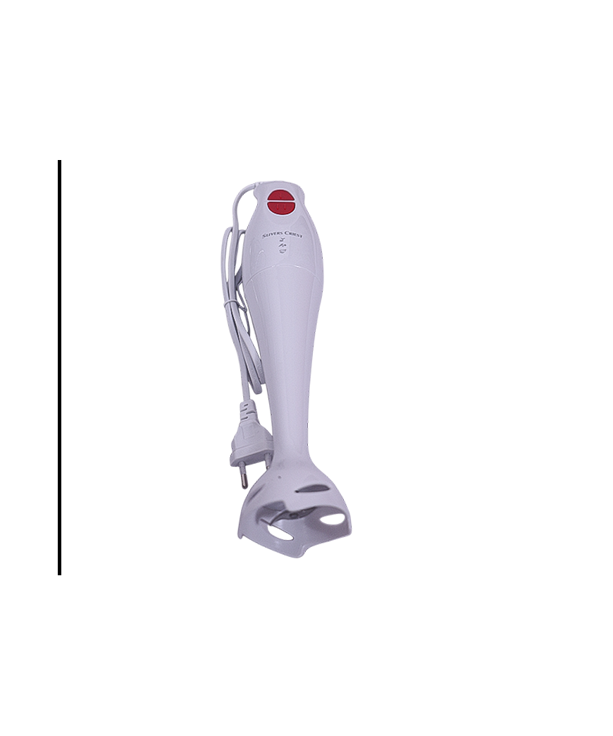 Mixeur plongeur/Silver Crest /300w