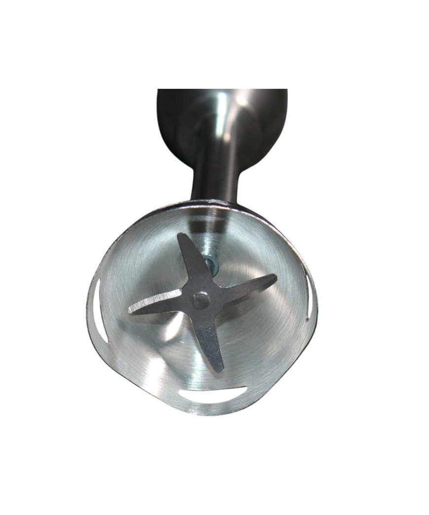 Mixeur Plongeur /Naifeo en inox /Lame de 2 en titane /500w