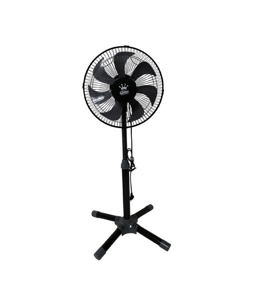 Ventilateur Kirikou Noir/5 élices doré/ Crown