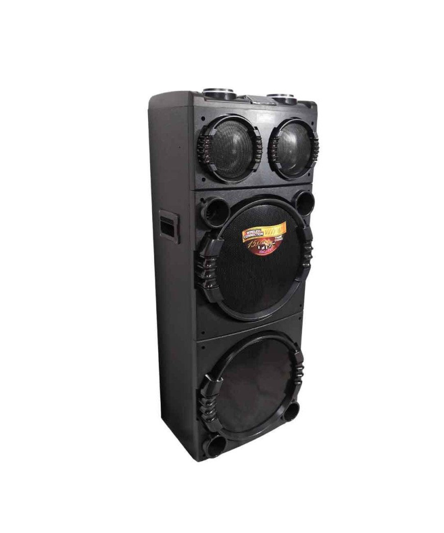 Baffle Jiepak/2 Micros/Bluetooth/USB/Micro SD/Radio FM/AUX/TW/Led display/100W
